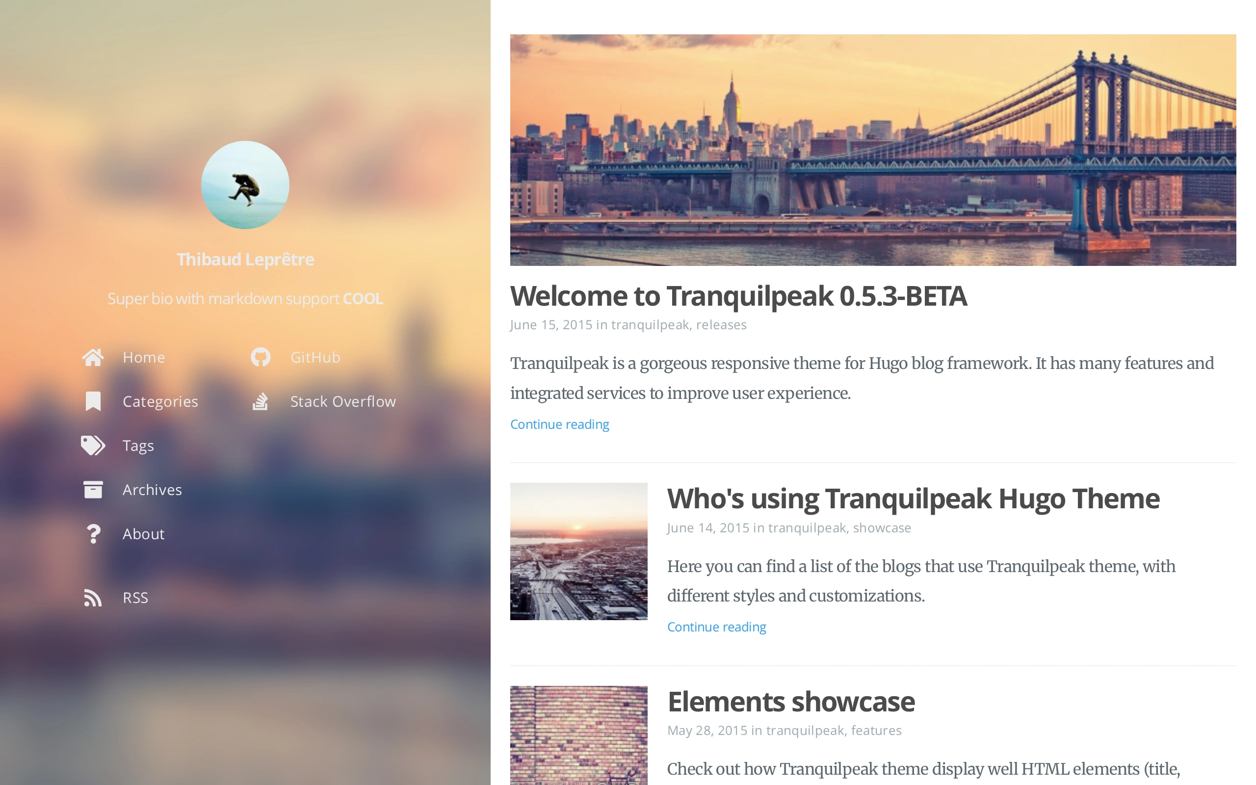 The Hugo Tranquilpeak Theme demo, first frame